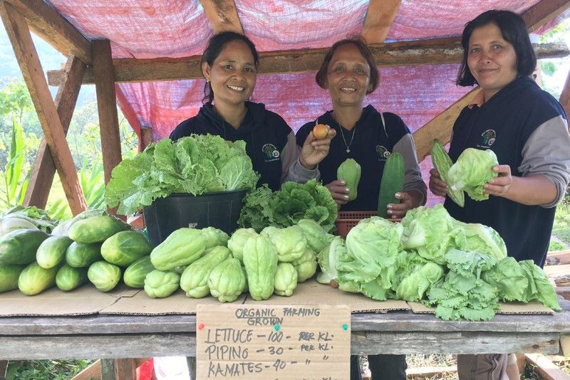 Organic farming blooms in Camiguin