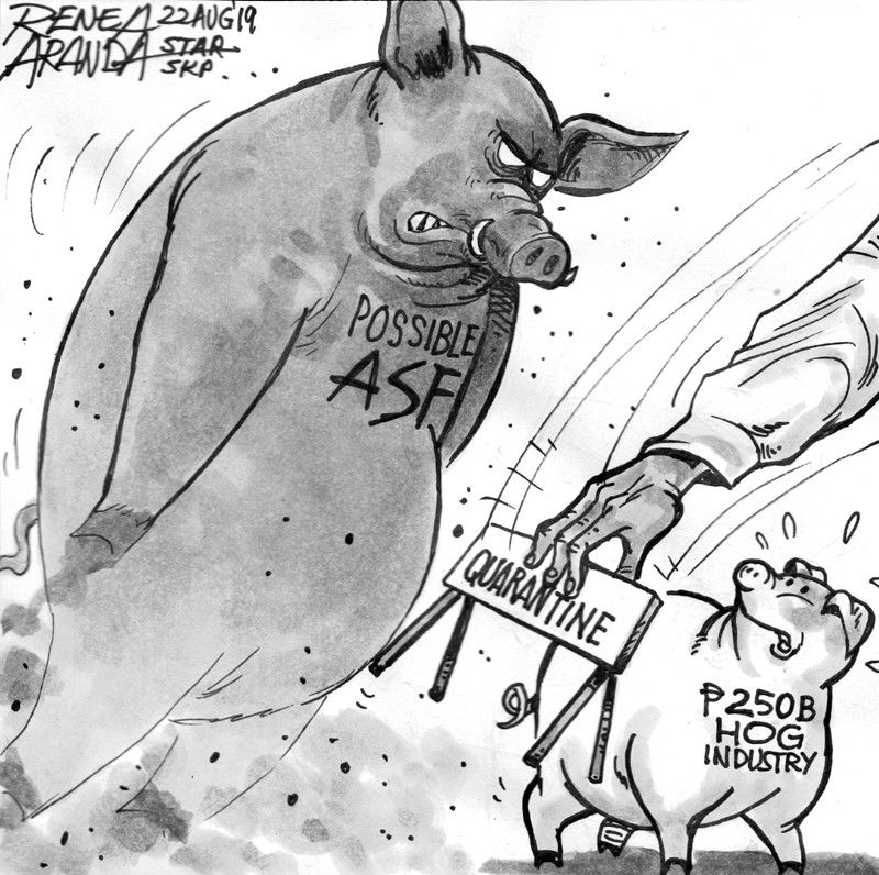 EDITORIAL - Stopping swine fever