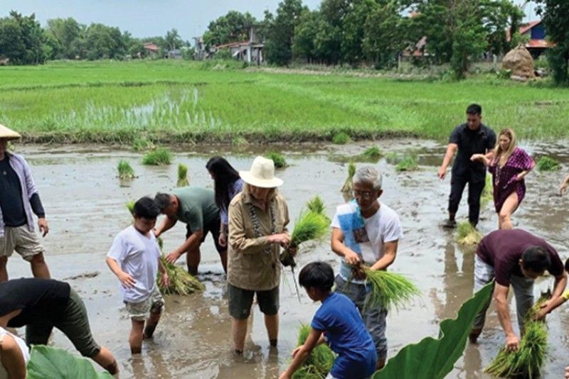 Martha Stewart plants rice in Pampanga