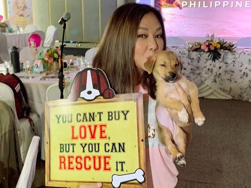 Stars in the Philippinesâ�� 1st International Homeless Animals Day