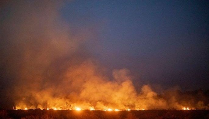 Brazil rejects G7 aid to fight Amazon fires, gov't says