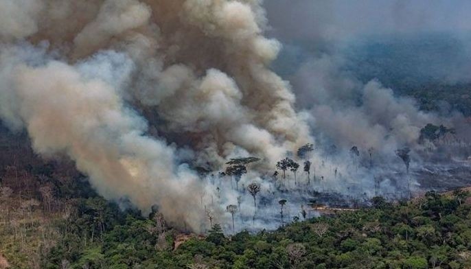 Brazil's Bolsonaro fuels spat with Macron over Amazon fires