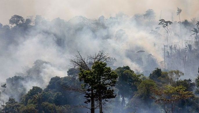 Brazil's Bolsonaro open to foreign aid to fight Amazon fires