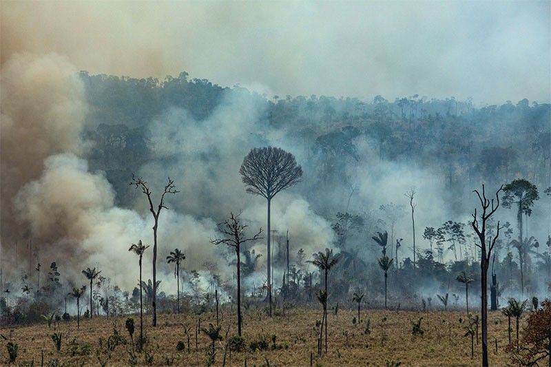 Brazil bans burning for two months to defuse Amazon crisis