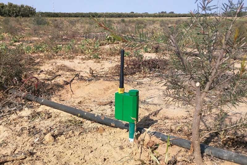 Basilan greenhouse to use Israeli-patterned drip irrigation