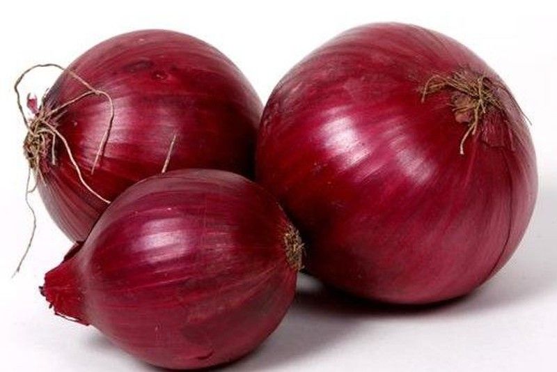 New Zealand mulls onion exports to Philippines