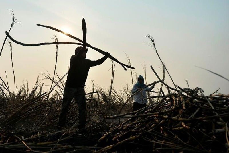 Duterte to landowners: Return land to farmers