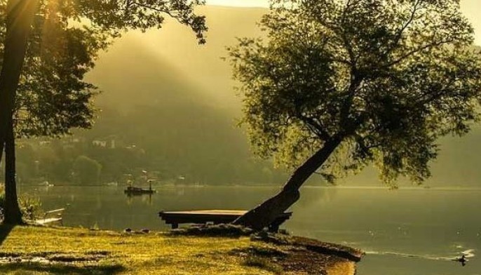 Seeing God