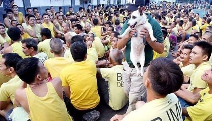 Heinous crime convicts nasa Pinas pa - DOJ