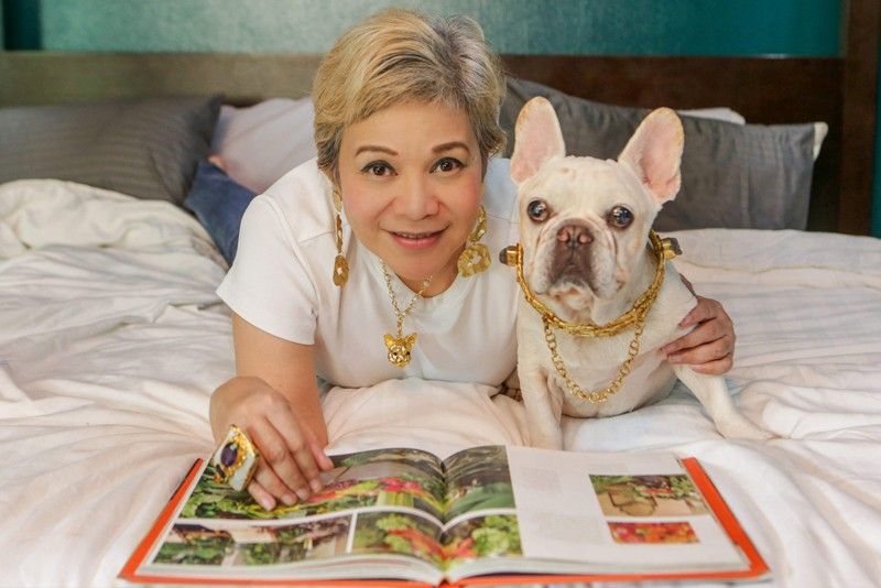 The jewel of Ann Ong: Bob the french bulldog