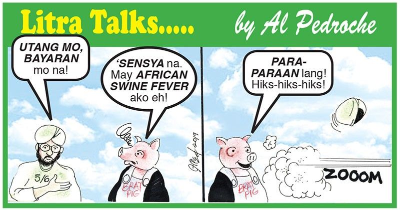 African swine fever!