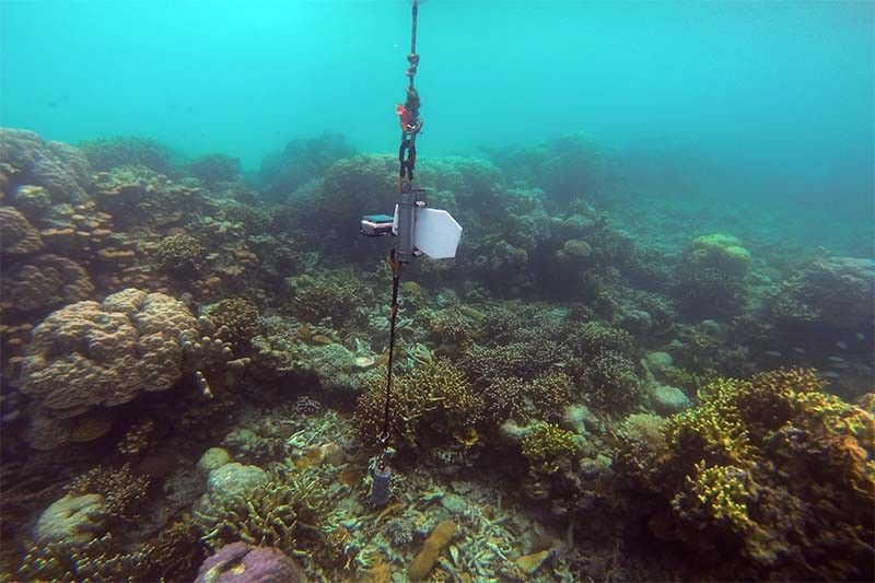 Filipinos develop â��painlessâ�� way to capture coral reefs images without diving, thanks to â��ARAICoBeHâ��