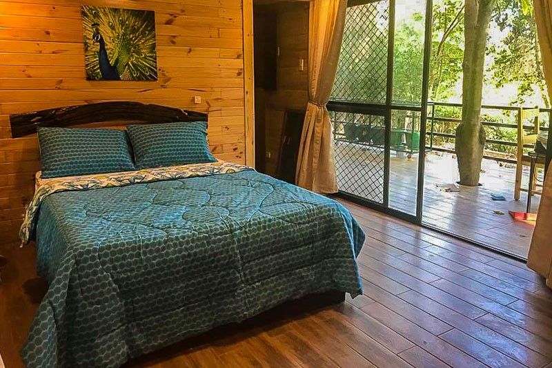 Experience the outdoors in style and comfort with glamping at Zoobic Safari
