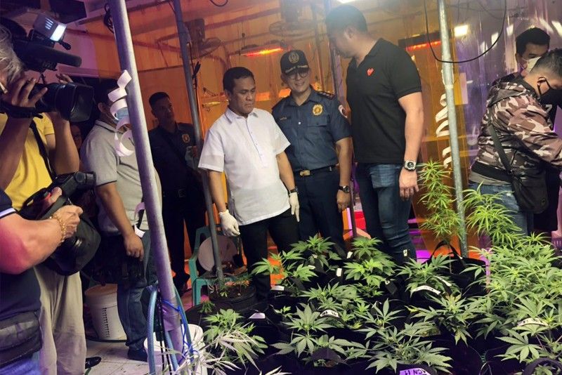 Cops raid indoor weed farm in San Juan