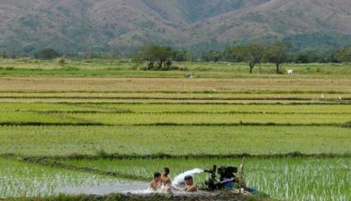 DAR welcomes CA ruling on land acquisition