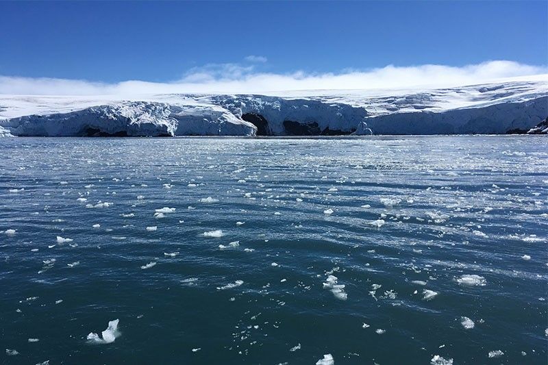 antarctica iceberg breaks off 2019 effects