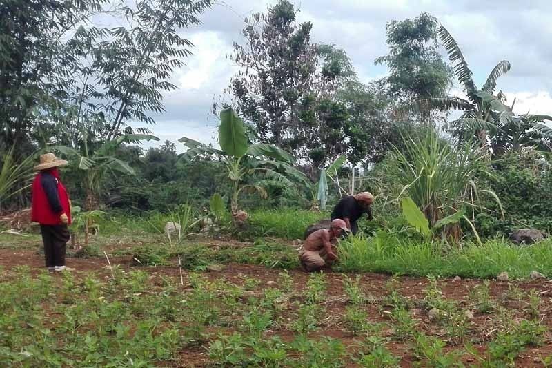 Duterte admin slowest in implementing land reform, Task Force Mapalad claims