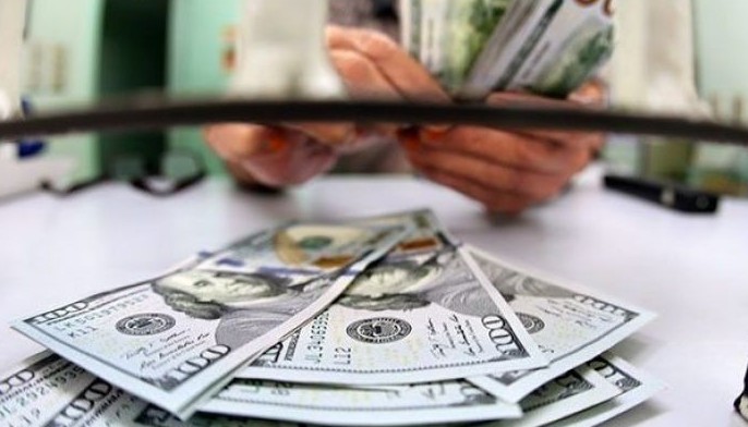 Foreign reserves sufficiency hits 4-year peak