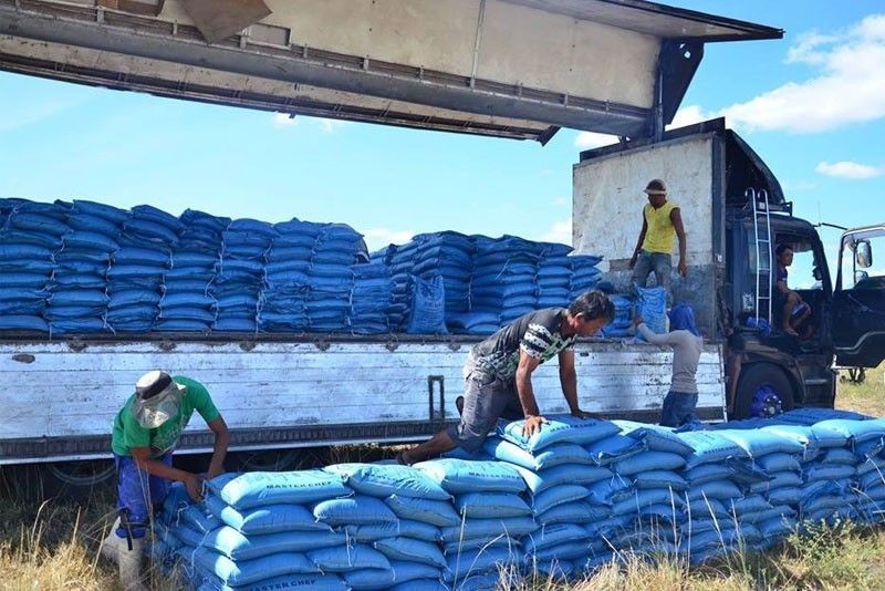 Philippines to go slow on rice imports next year