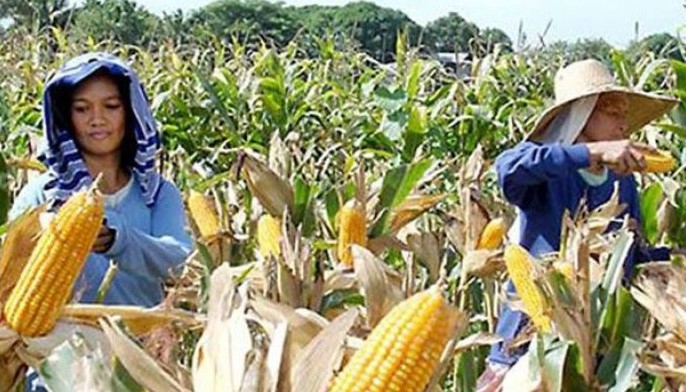 Global food system emissions imperil Paris climate goals