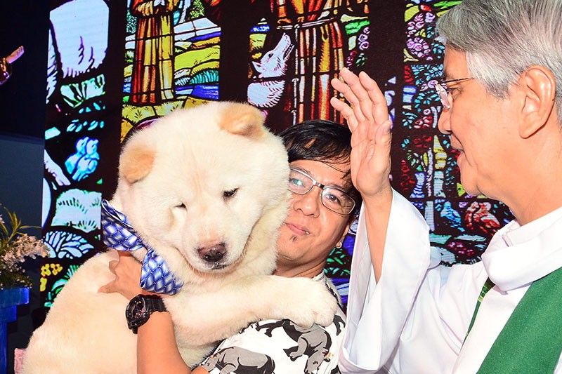 How pet blessings can make you teary-eyed