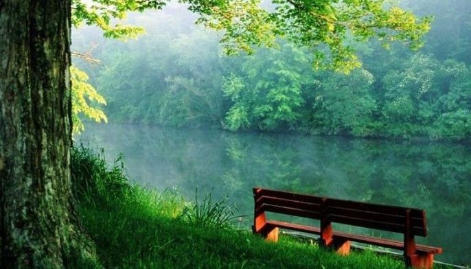 Surviving the wilderness