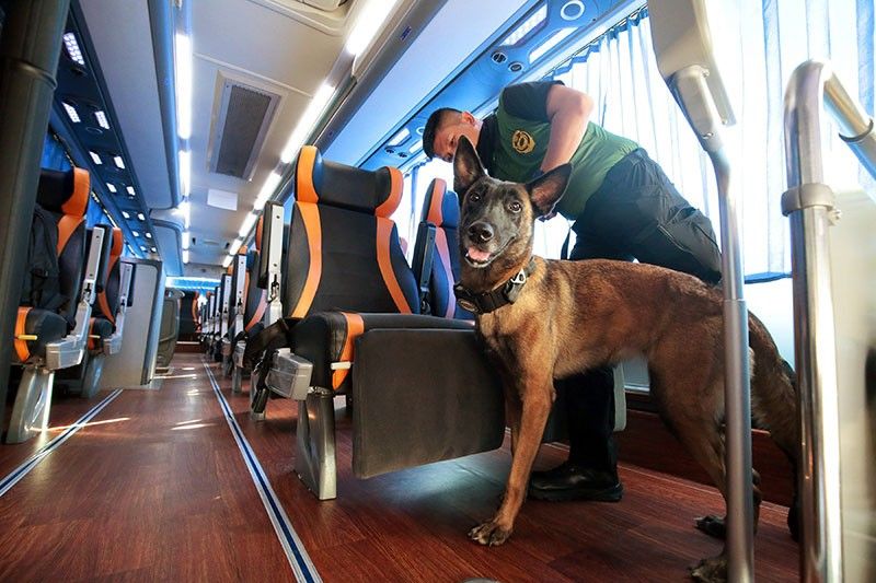 PDEA K9 unit sweeps bus terminals for Undas