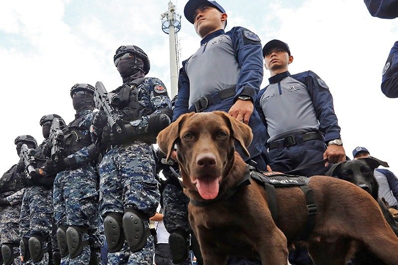 PCG eyes more ASF sniffing dogs