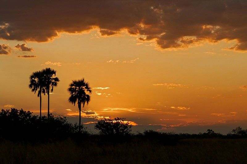 Humanity's homeland found in ancient Botswana