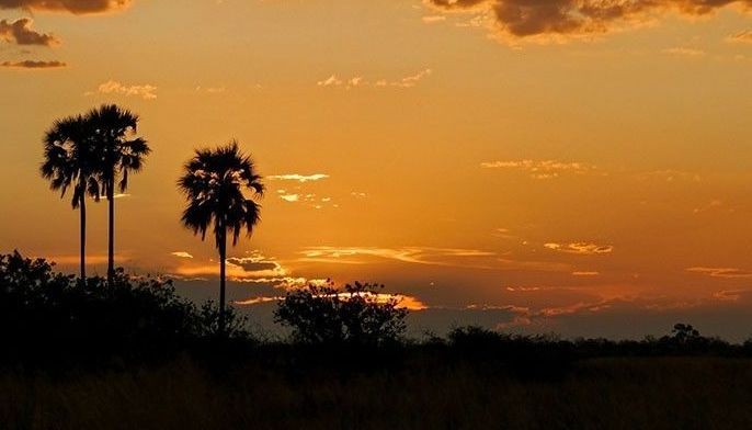 Humanity's homeland found in ancient Botswana