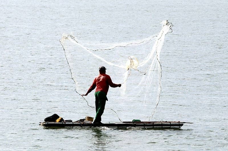Fisherfolk group casts fear over galunggong fishing ban
