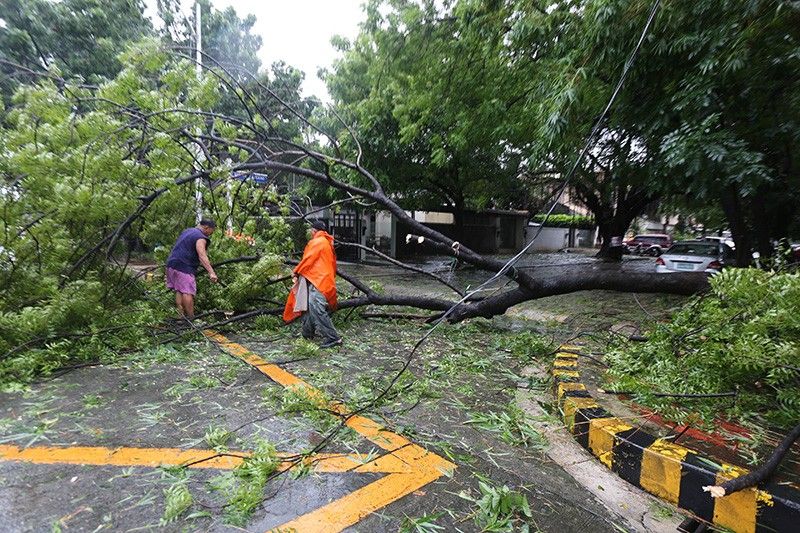 Quiel leaves P285 million damage to Cagayan crops
