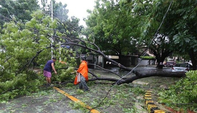 Quiel leaves P285 million damage to Cagayan crops