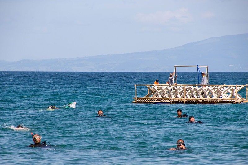 Philippine, US divers plant artificial reefs in Cavite