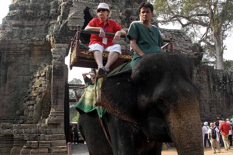 Cambodia to ban elephant rides at Angkor temples