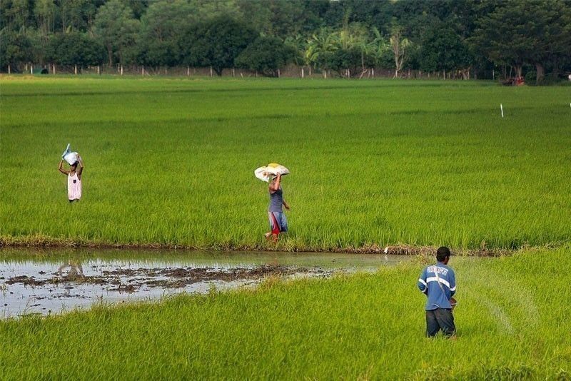 Thai firm to build farms in quake-hit Mindanao