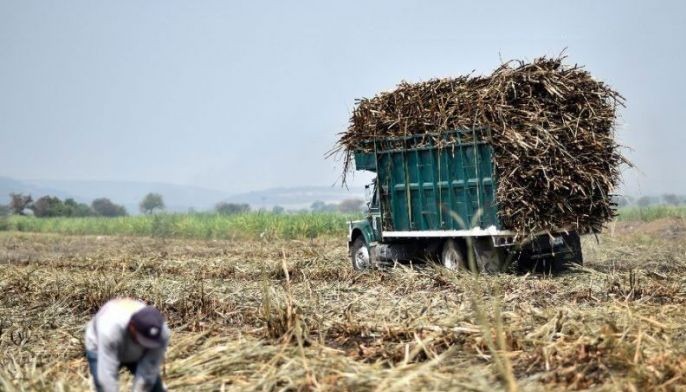 Government open to alternatives to sugar liberalization plan