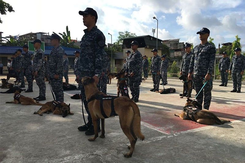 Sniffing dogs to be deployed for SEA Games security