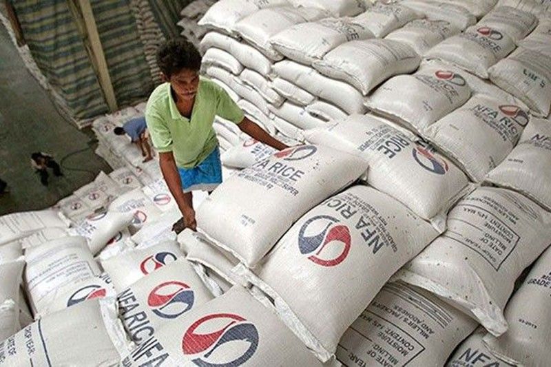 NFA palay purchases increase to 11.5 million bags