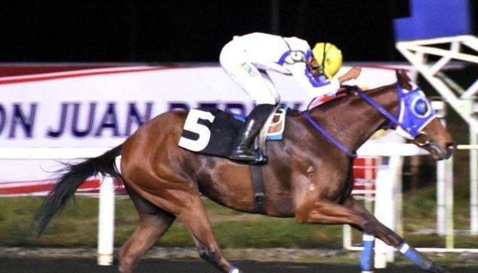 Patong Patong rules Challenge Series second leg