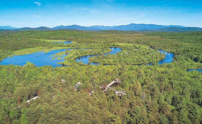 The Wild Center: Up close with nature