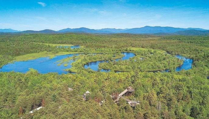 The Wild Center: Up close with nature