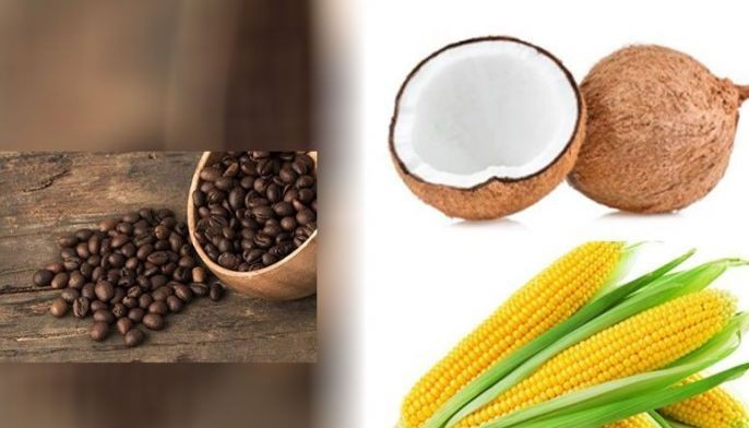 Grow Asia benefits 117,000 coco,coffee, corn smallholders