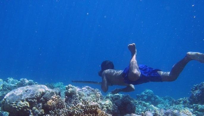 Philippines named world&rsquo;s leading  diving destination