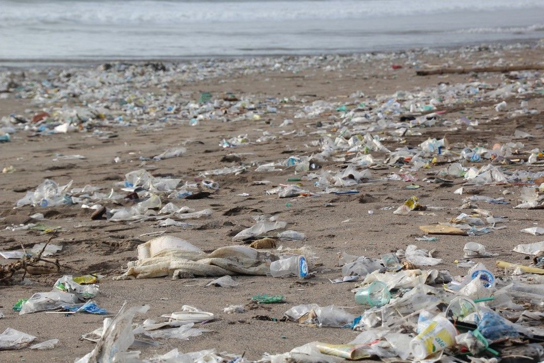 Quezon City bans single-use  plastics