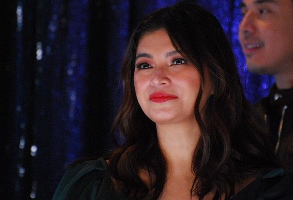 Angel Locsin no plans to return to showbiz yet â�� Ogie Diaz