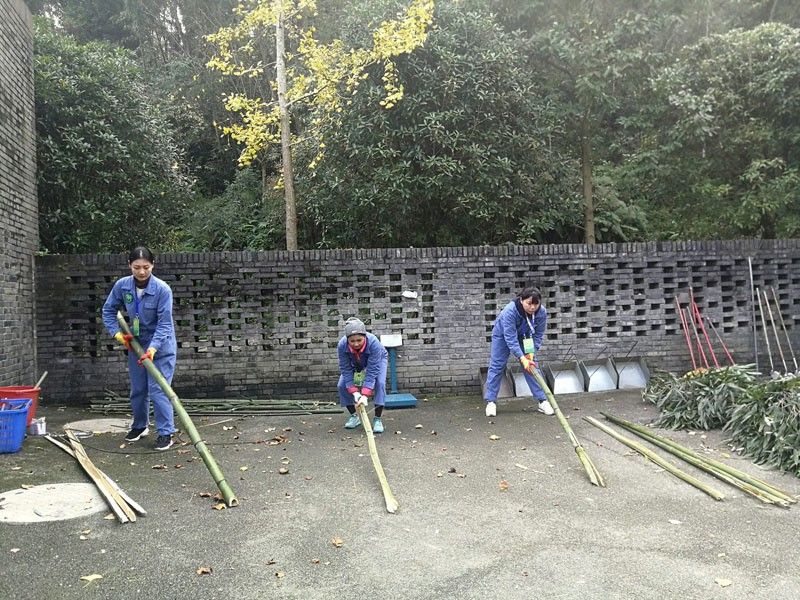 Panda Volunteer for a Day