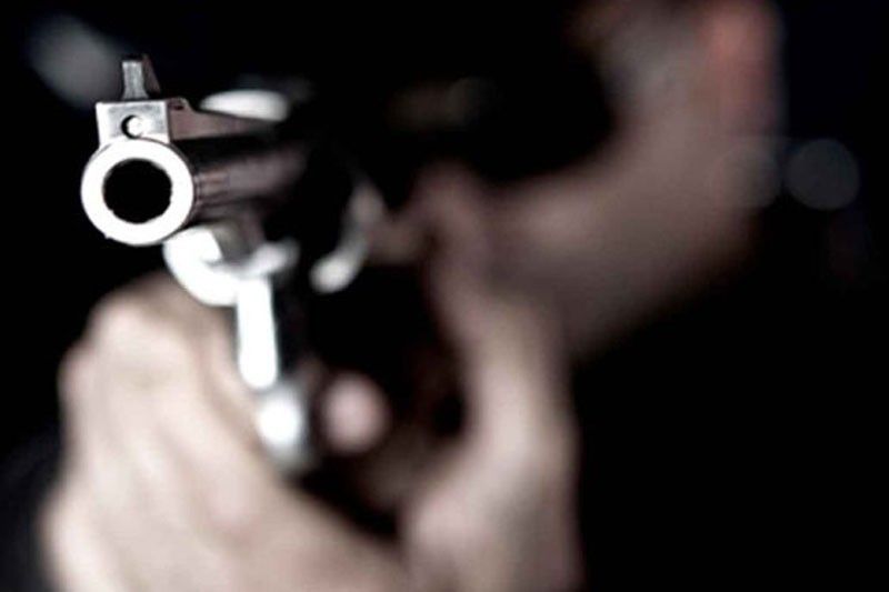 2 carjackers slain in shootout