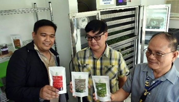 New dehydrator machine for herbal tea launched