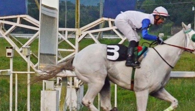 Union Bell, Exponential clash in interesting race